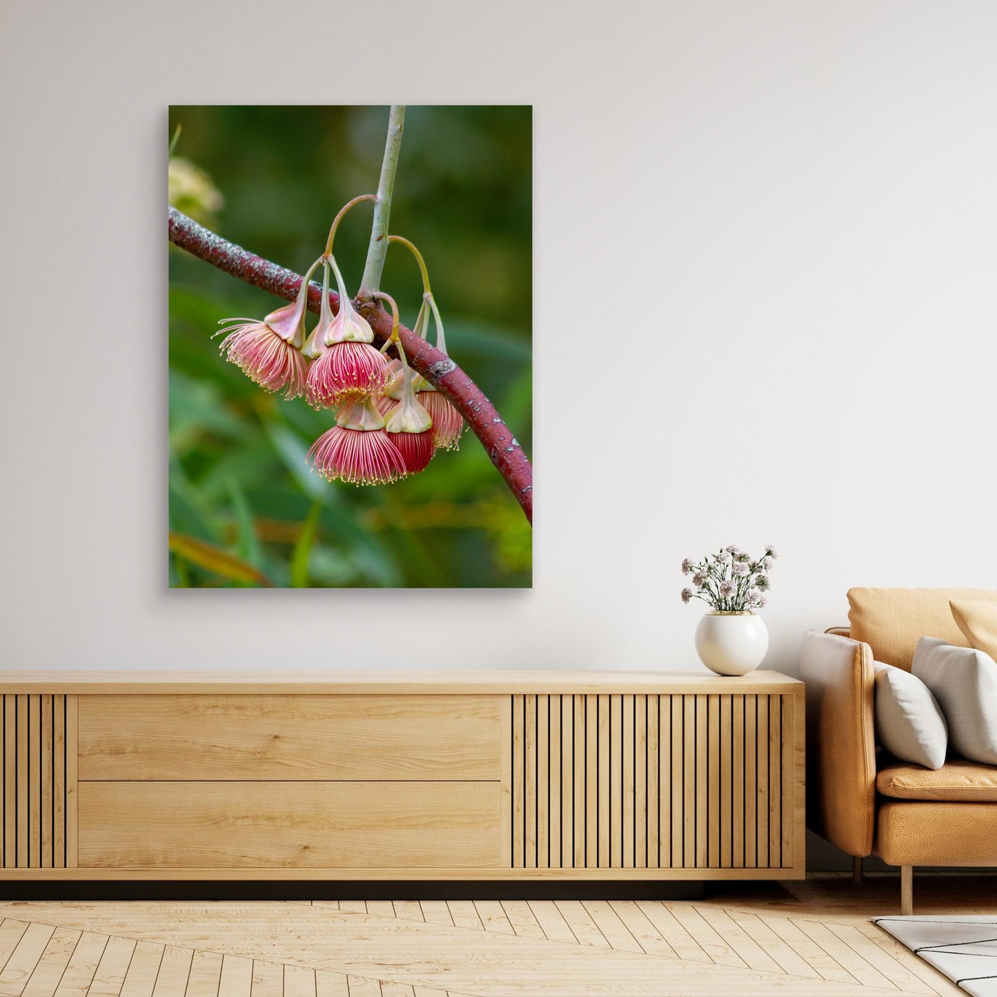 Eucalyptus Alatissima Flower - Art Print