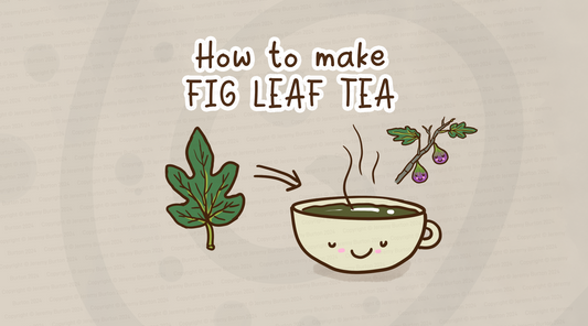 How to make fig leaf tea banner