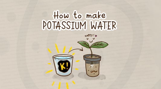 How to make potassium water