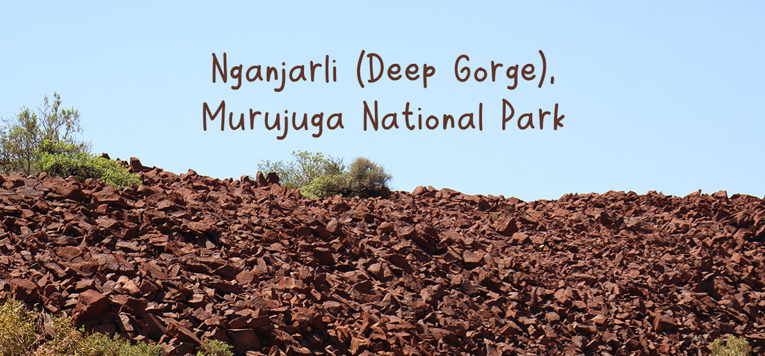 Nganjarli (Deep Gorge), Murujuga National Park