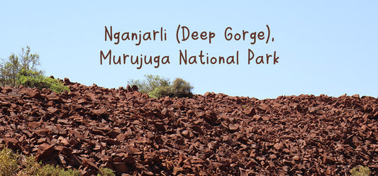 Nganjarli (Deep Gorge), Murujuga National Park