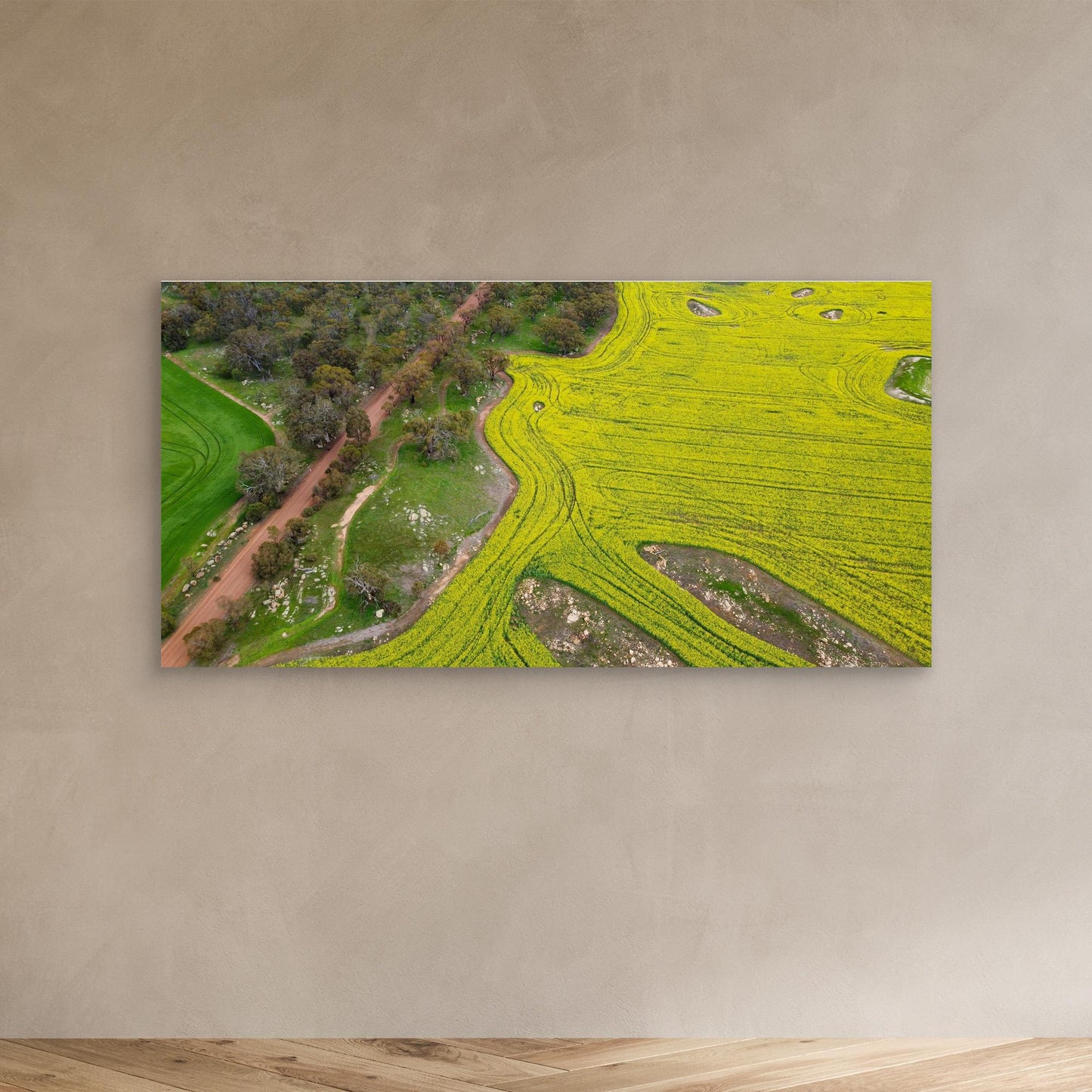 Canola Fields in York - Art Print