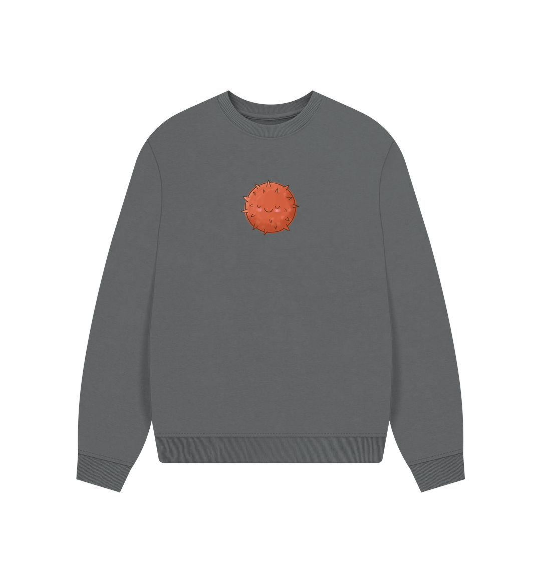 Slate Grey Big Lychee - Women's Oversized Jumper