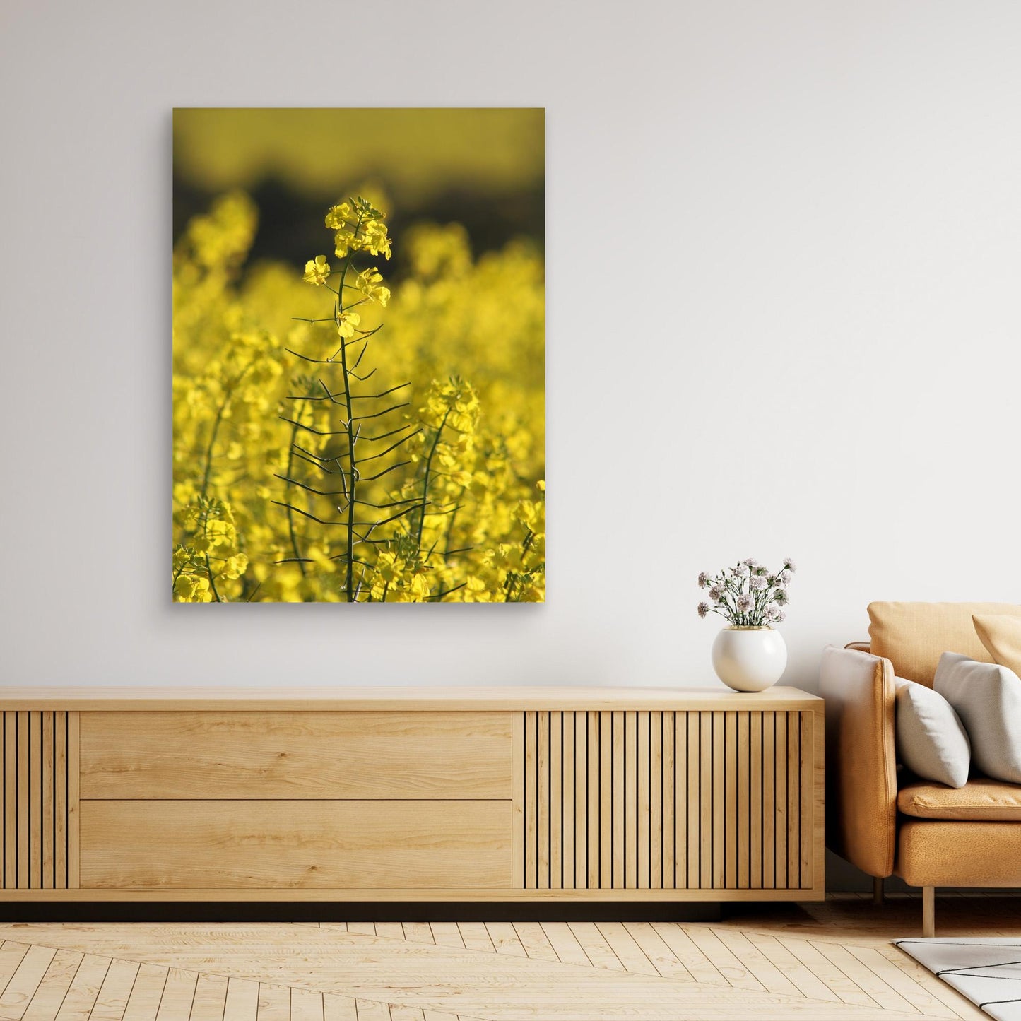 Canola Plant, York - Art Print