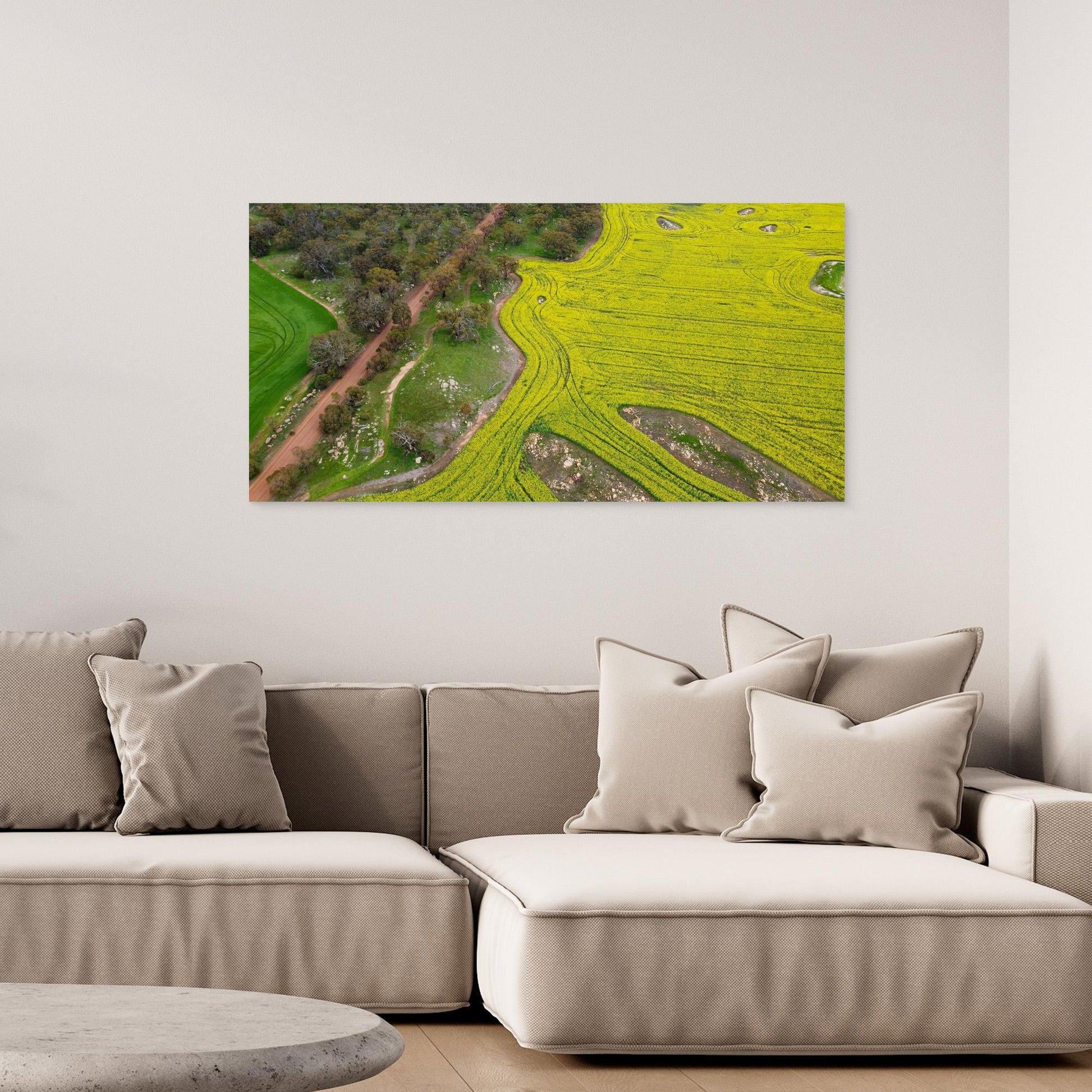 Canola Fields in York - Art Print