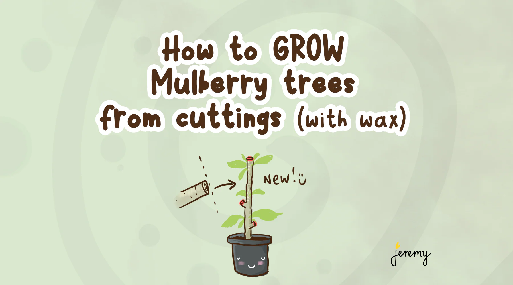 How_to_GROW_Mulberry_trees_from_cuttings-header.png