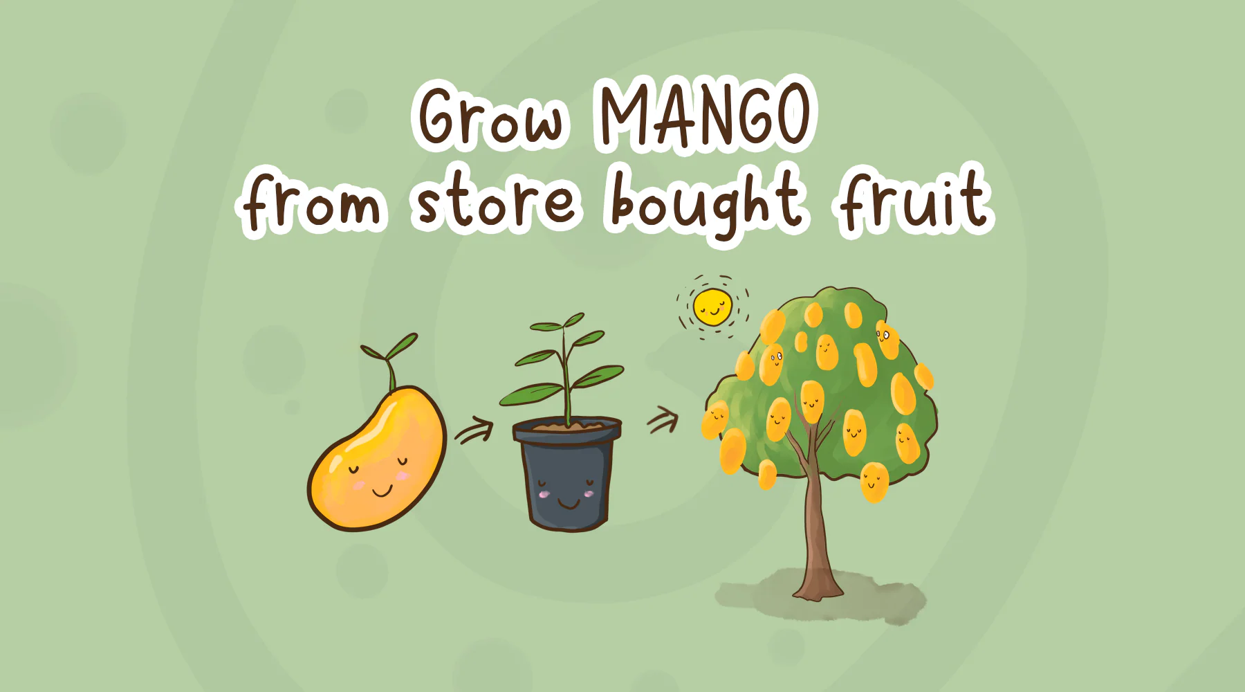 grow_store_bought_mango_from_seed-header.png