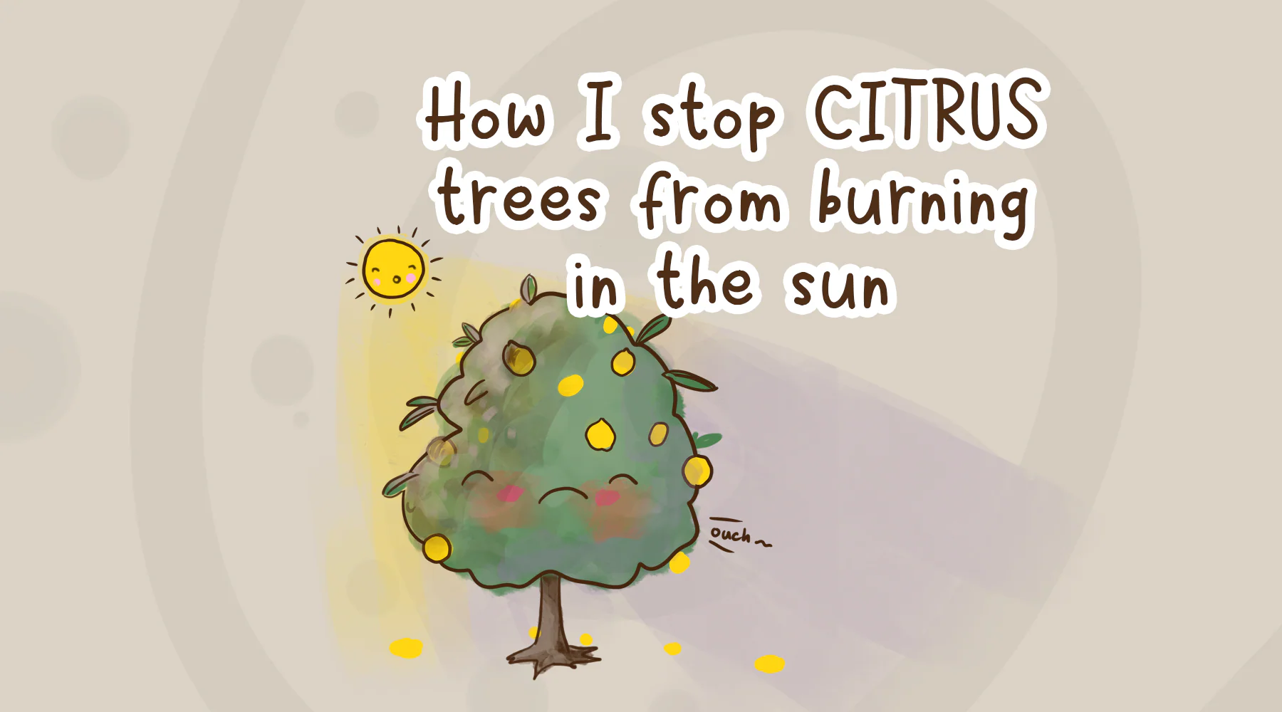 How I stop citrus trees from burning in the sun