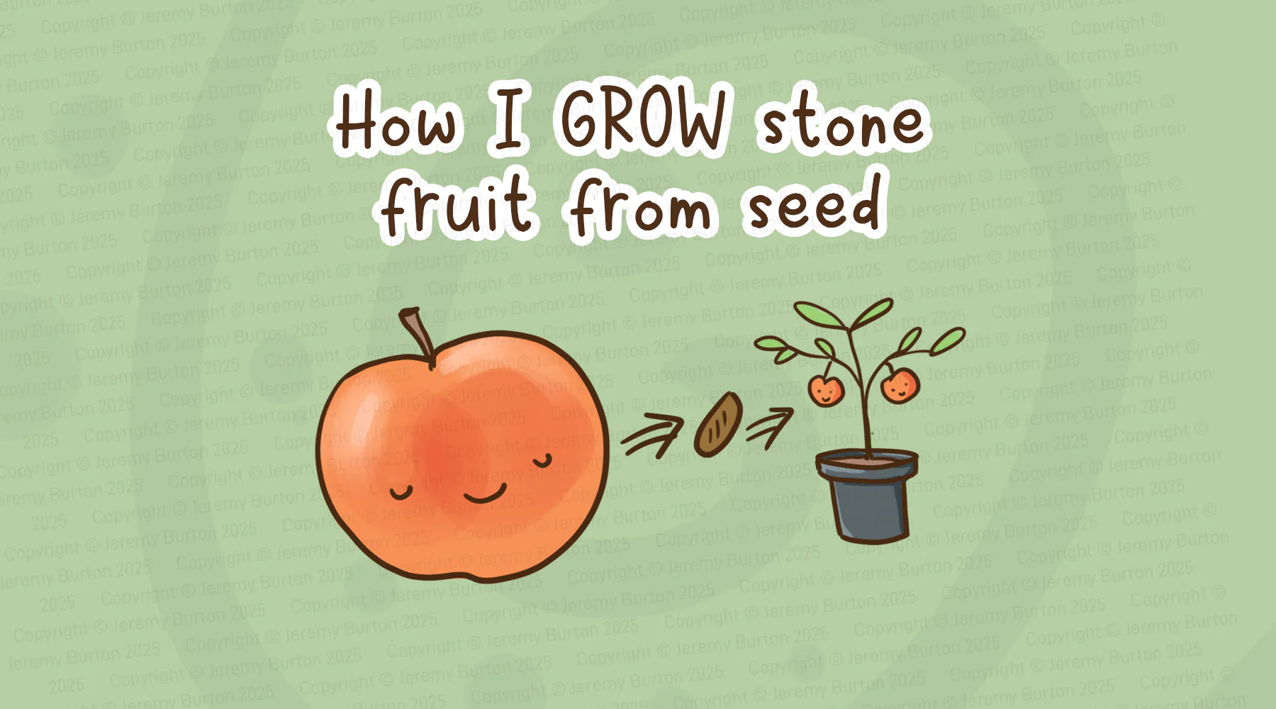how_to_grow_a_stone_fruit_from_seed-header.png