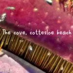 the_cove-8-6-2025-header.jpg