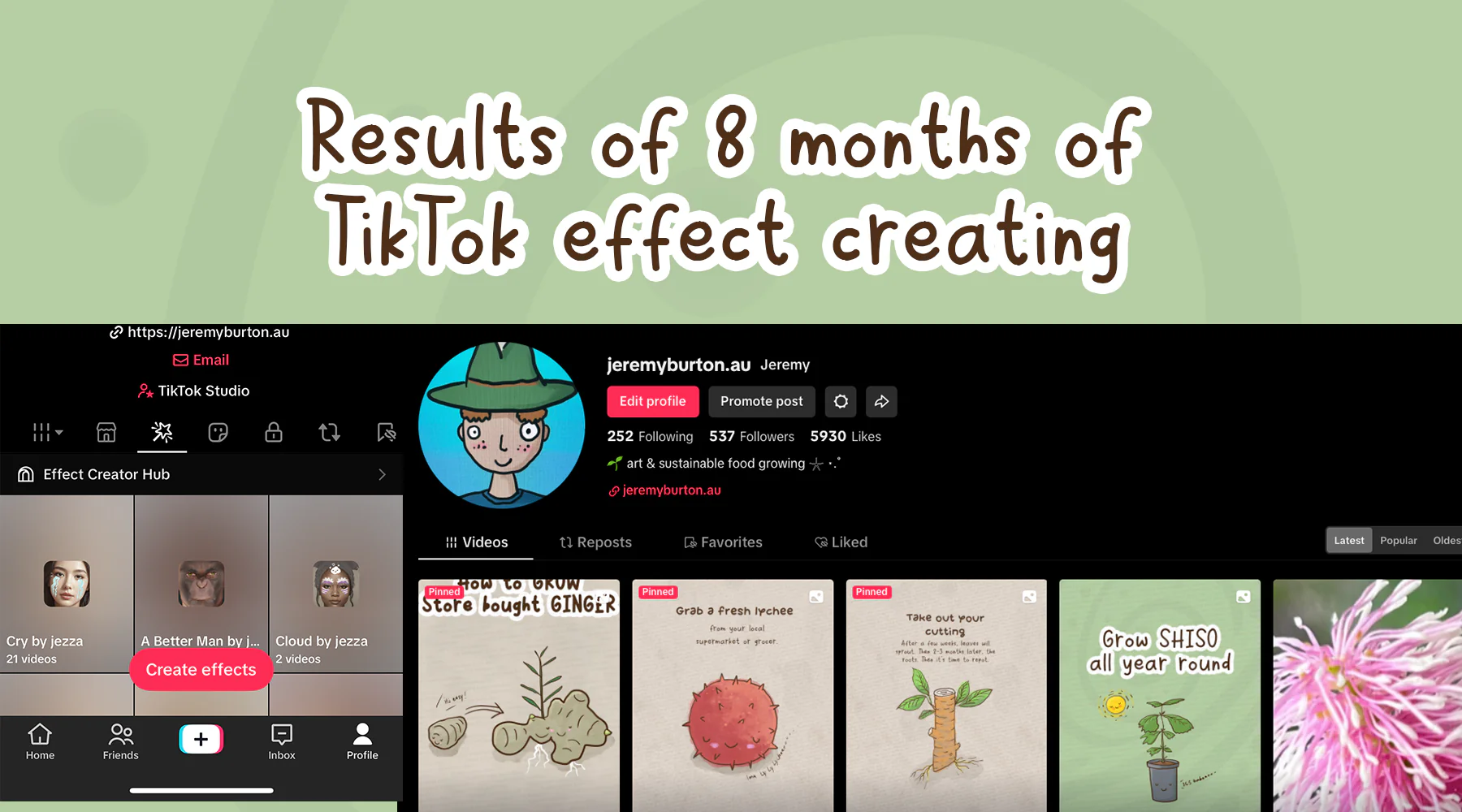 Results of eight months of TikTok effect creating
